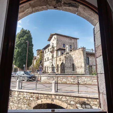 Daire Albert's Assisi